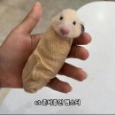 (집)씨유ktx광명점(오영지) | 8월- 좋은사람들을 만난다는 건,,🍀