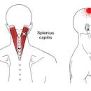 동행의원한의원 이미지