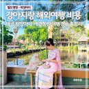 멍멍택시1 | 치앙마이 애견동반 9박 10일 여행 경비 총정리