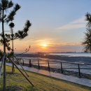 배곧한울공원 이미지