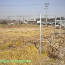 덕산양계 이미지