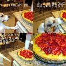 골든치즈 이미지