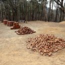 일퍼센트,일백퍼센트 이미지