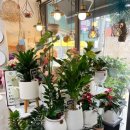 지에스25수원금호로 이미지