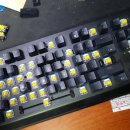 수원-0353 이미지