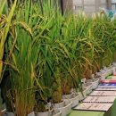 지하철2호선강남역 이미지