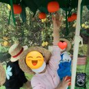 숲속실로암어린이집 이미지