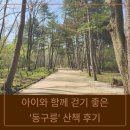 동구릉 | [경기/구리] 아이와 함께 걷기 좋은 유네스코 세계유산 '동구릉' 산책 후기