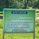 낙동강관리본부 맥도생태공원 5 | 15분도시 부산, 맥도생태공원 농구장은 현재 이런 모습~