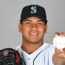 펠릭스팜 이미지