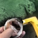 꼴미목장 이미지