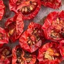 한국폴리텍 특성화대학 로봇캠퍼스 이미지