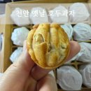 호두과자 티스토리
