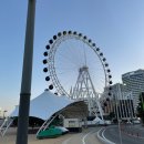 해안길 | 속초 조개구이 맛집 해안길 내돈내산 후기