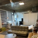 슈가몽 544 이미지