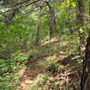 남사2리 | 경주 현곡 어림산 투어(2021 - 9 - 26, 부제: 길 찾기가 이렇게 어려웠던 주간 산행은 진짜로 처음)