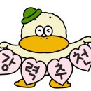 유정디자인 이미지