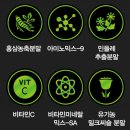 뉴트리룸 | 뉴트리룸 더킹 블랙마카 솔직 후기