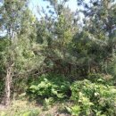 판포초등학교 이미지