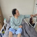 이의세 병문안 이미지