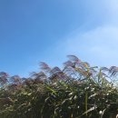 석천농장 이미지