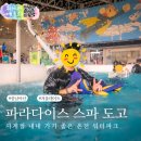 파라다이스스파 | 파라다이스 스파 도고 후기, 아산 도고온천 가격 및 시설 총정리