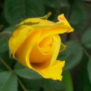 오며가며 이미지