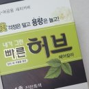 본그린약국 이미지