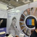 에스텔라 이미지