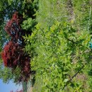 중말농장 이미지