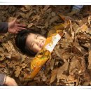 상화유치원 이미지