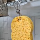 에코글로벌 주식회사 | 친환경 주방의 시작! 신일특수금속 천연펄프수세미 추천 후기