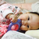 영아목장 이미지