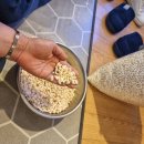 롯데리아속초점 이미지