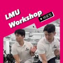 랜드핏 이미지