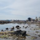 해파랑길 18코스 이미지