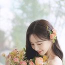 필모먼트