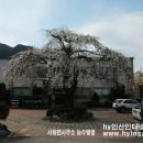 지곡면보건지소 이미지