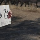 용인대가온누리태권도장 이미지