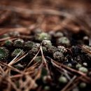 한물결의원 이미지