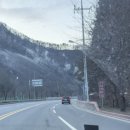 맘스터치 하이원점 | 하이원스키장 당일치기 4시간의 야간보드 즐기기