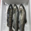 화천수산 이미지