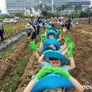 영근농장 이미지