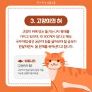 고양이미용사 임서영 이미지