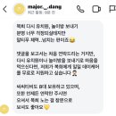 마조르댕 이미지