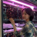 주식회사연우 이미지
