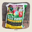 거목축산 | 거목산업사 최고급 분갈이흙 ㅣ 퀄리티 좋은 분갈이흙 추천