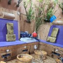 사랑의 뜰안 이미지