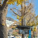 씨제이대한통운(주)힘찬주유소 | 대한통운 &#39;산악회&#39; 북한산 향로봉 등정! 역전의 용사들이 북한산을 누비다!