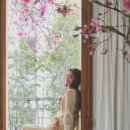 프리지아 스튜디오